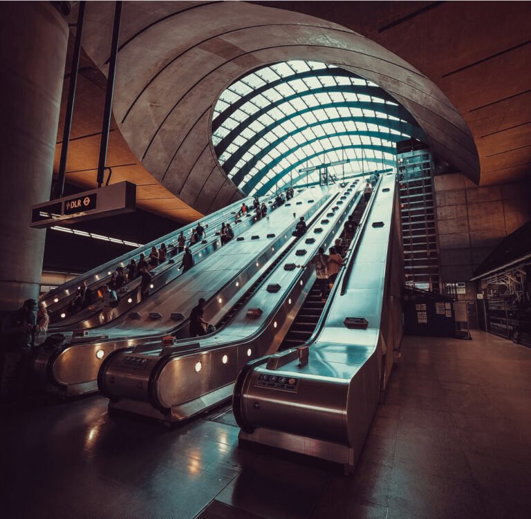 Lorem ipsum dolor sit amet consectetur adisciping elit, sed do